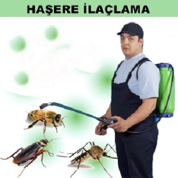 Gölpazarı Böcek İlaçlama